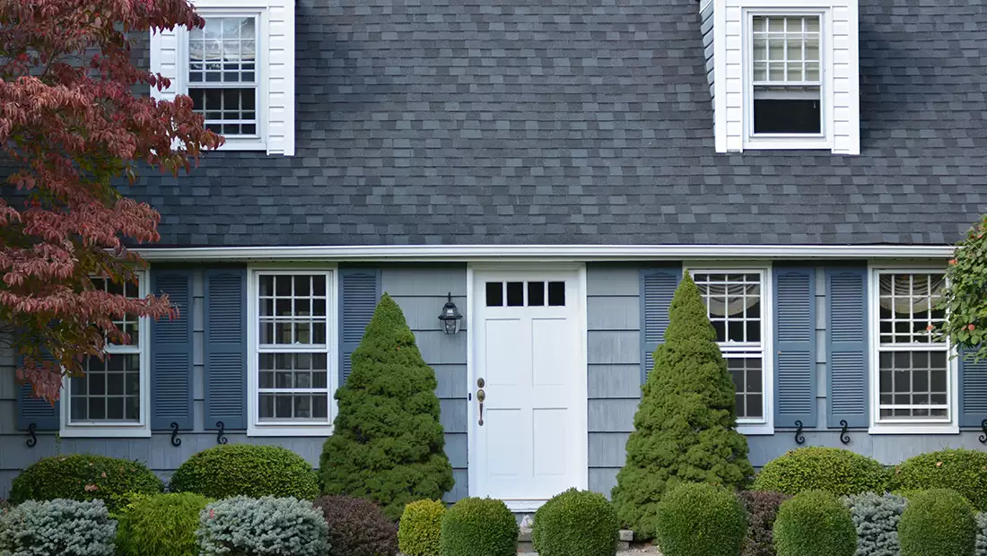 Exterior Color image