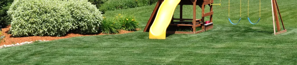 MAINTAINING SOD FOR AN AWARD-WINNING LAWN